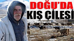 Doğu´da hayvancılıkla geçimini sağlayanların kış çilesi