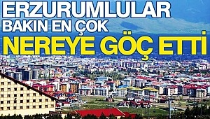 Erzurumlular en çok nereye göç etti?