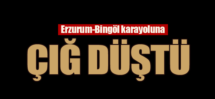 Erzurum-Bingöl karayolu çığ düşmesi sonucu ulaşıma kapandı