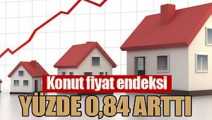 Konut fiyat endeksi yüzde 0,84 arttı