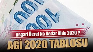 Asgari Ücret Ne Kadar Oldu 2020 ?| Agi 2020 TABLOSU