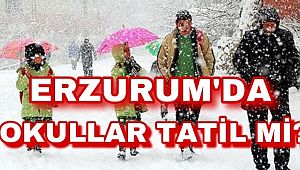 Erzurum’da okullar yarın tatil mi? 