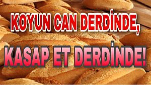 KOYUN CAN DERDİNDE, KASAP ET DERDİNDE!