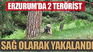 Erzurum'da 2 terörist sağ olarak yakalandı