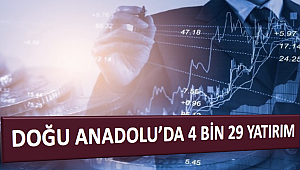 Doğu Anadolu'da 4 bin 29 yatırım