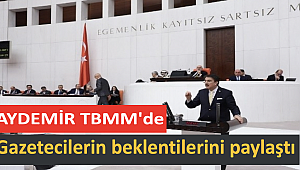 Aydemir TBMM'de gazetecilerin beklentilerini paylaştı