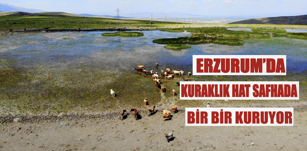 Erzurum’da kuraklık hat safhada, göller bir bir kuruyor