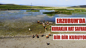 Erzurum’da kuraklık hat safhada, göller bir bir kuruyor