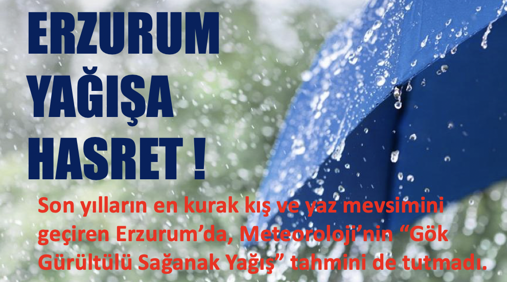 Erzurum yağışa hasret!