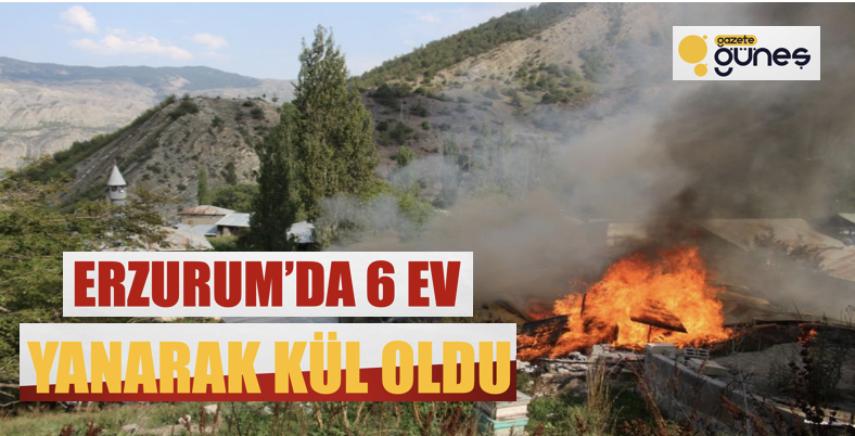 Erzurum’da 6 ev yanarak kül oldu
