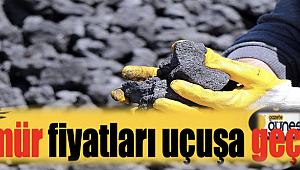 Kömür fiyatları uçuşa geçti