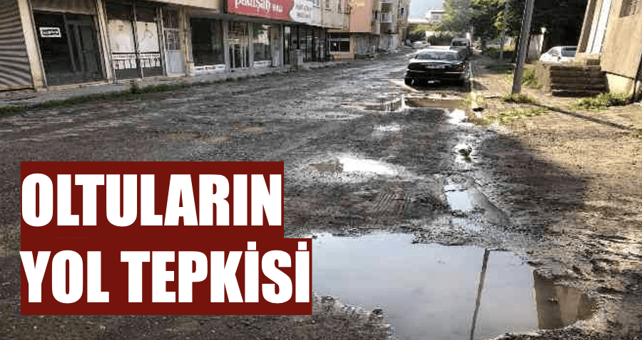 Oltuluların yol tepkisi