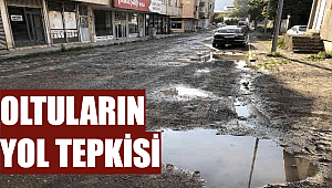 Oltuluların yol tepkisi