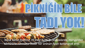 Pikniğin bile tadı yok! 