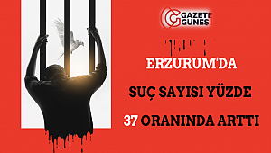 Erzurum'da Suç Sayısı Yüzde 37 Oranında Arttı