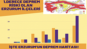 İşte Erzurum'un Deprem Haritası!