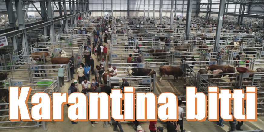Karantina bitti
