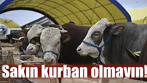 Sakın kurban olmayın! 