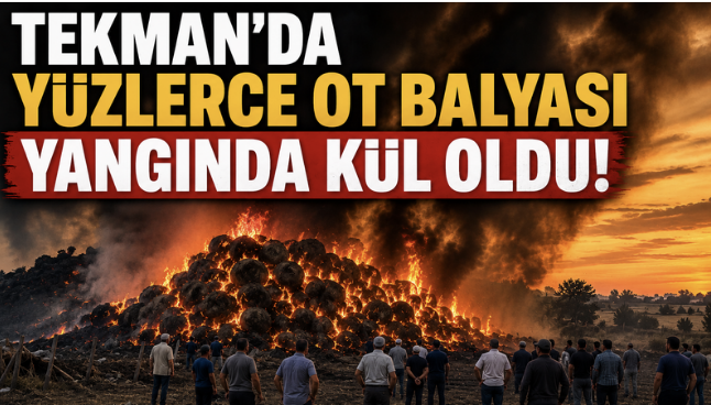 Tekman’da yüzlerce ot balyası yangında kül oldu.